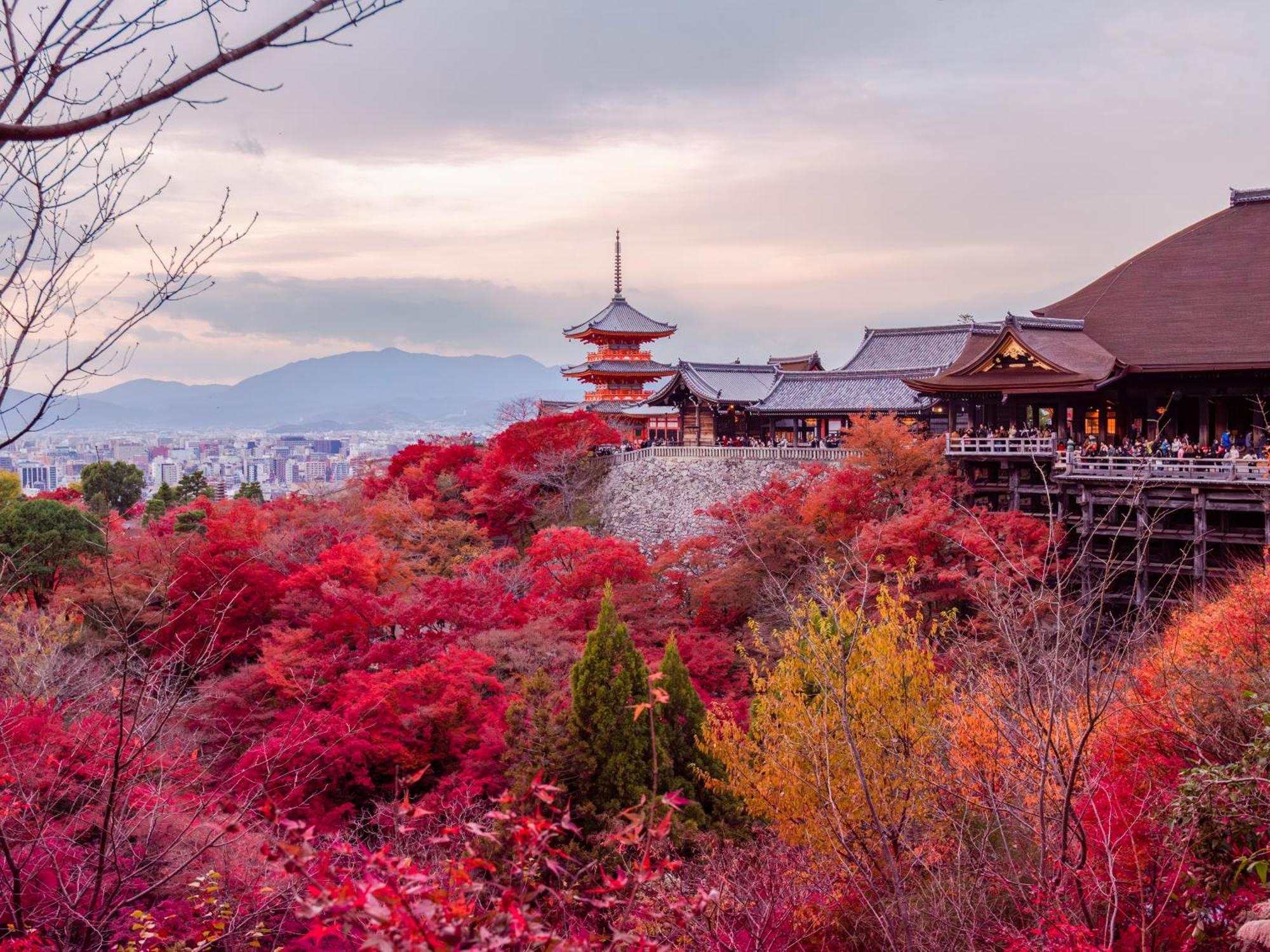 Stitch Kyōto